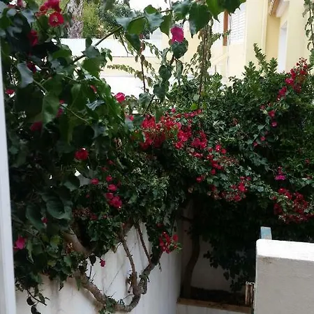 Casa Das Buganvilias - Manta Rota